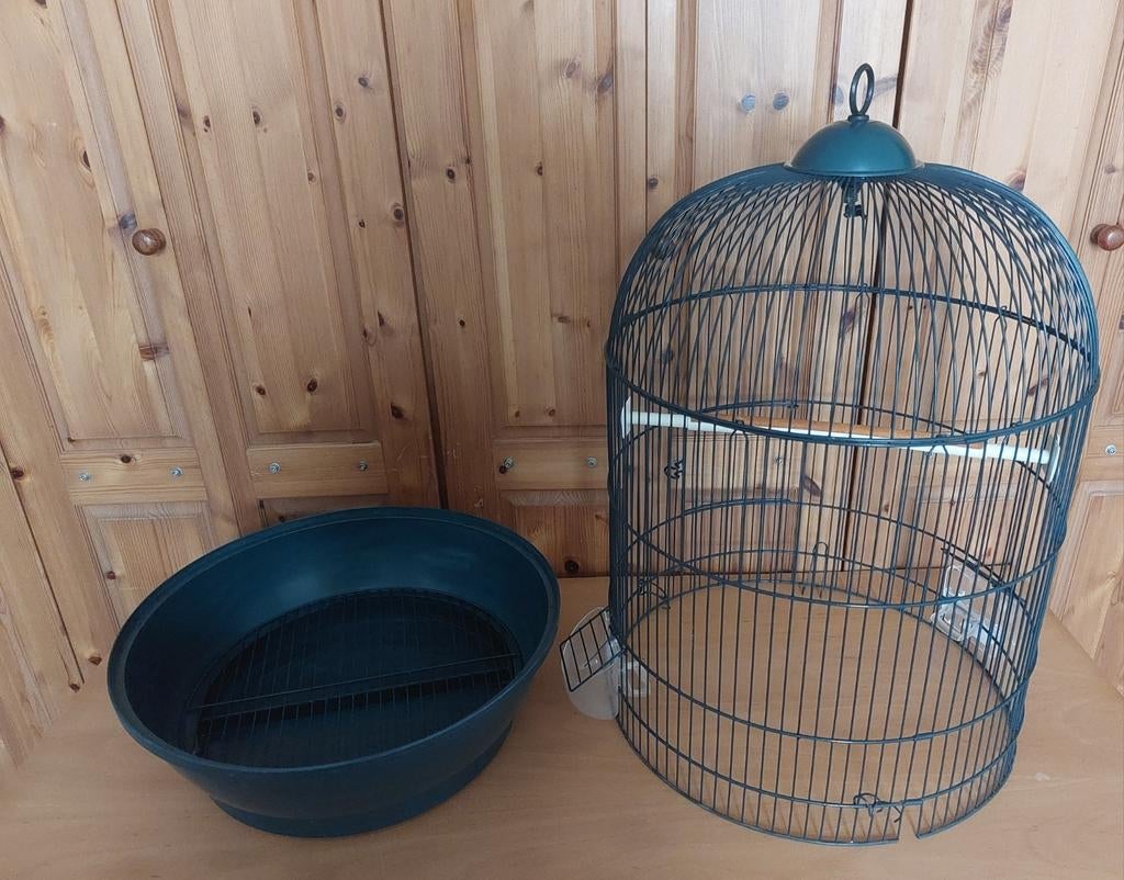 Grand cage pour oiseaux, Enlèvement