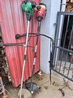 bosmaaier, Enlèvement