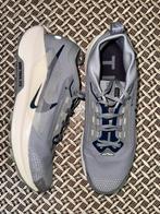 Nike Pegasus Trail 5 Gore-Tex, Vêtements | Hommes, Chaussures, Enlèvement ou Envoi, Autres couleurs, Comme neuf, Chaussures de sport