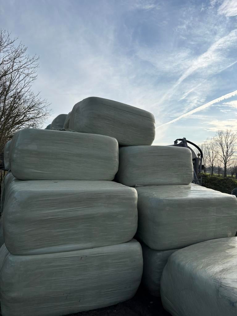 Weide graspakken, Dieren en Toebehoren, Dierenvoeding, Ophalen