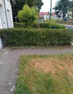 Jardinier a votre service