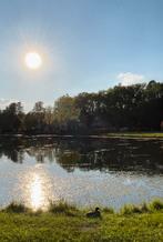 Stacaravan te Begijnendijk aan water, Caravans en Kamperen