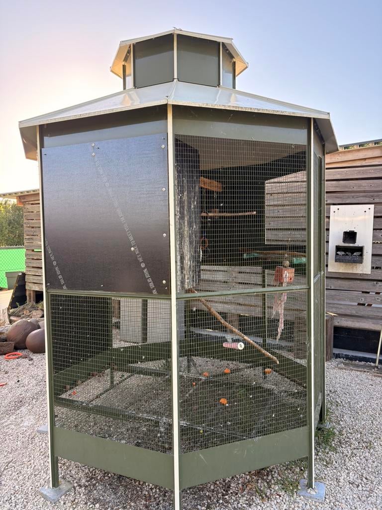 Ruime buitenvolière, Animaux & Accessoires, Oiseaux | Cages & Volières, Comme neuf, Cage à oiseaux, Enlèvement