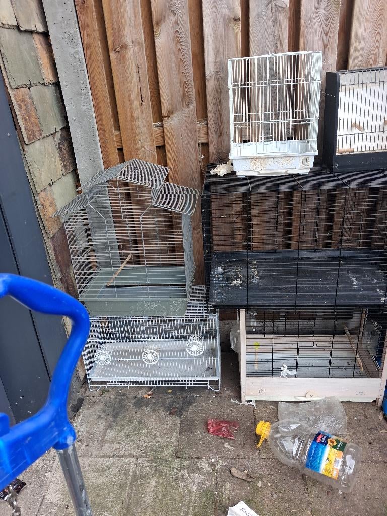 Vogelkooien, Ophalen of Verzenden, Gebruikt, Overige materialen, Vogelkooi