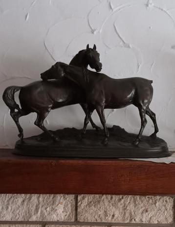 Paarden in samak beschikbaar voor biedingen