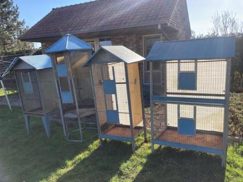 grote hexagonale vogelkooi kanarie parkieten, Dieren en Toebehoren, Vogels | Hokken en Kooien, Gebruikt, Vogelkooi, Metaal, Ophalen