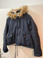 Jas Winter Dames American Outfitters  M, Kleding | Dames, Maat 38/40 (M), Blauw, Ophalen of Verzenden, Zo goed als nieuw