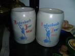 2 OUDE BIERPOTTEN RODENBACH, Ophalen of Verzenden