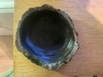 Baardagaam mannelijk+alle toebehoren, Dieren en Toebehoren, Ophalen, Gebruikt, Terrarium of Paludarium