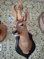 préparations à base de brocante, Enlèvement ou Envoi, Utilisé