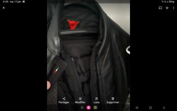Jasje Dainese  beschikbaar voor biedingen