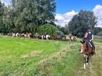 Buitenritten te paard, Dieren en Toebehoren, Paarden