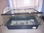 Cavia kooi gratis, Dieren en Toebehoren, Kooi, Gebruikt, 75 tot 110 cm, Cavia