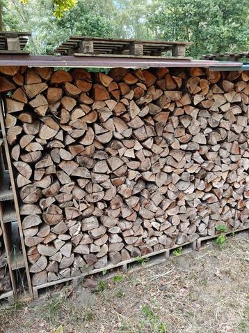 Droog brandhout vogelkers beschikbaar voor biedingen