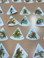 Vintage set van 76 natuurprentjes uit de kaasdoosjes, Verzamelen, Ophalen, Gebruikt, Prent, Natuur