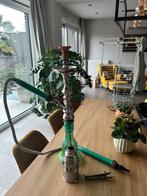 Waterpijp (shisha), Collections, Enlèvement, Comme neuf