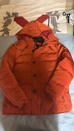 Winterjas maat L, Kleding | Heren, Jassen | Winter, Ophalen, Gedragen, Maat 52/54 (L), Oranje