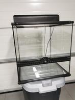 Exo Terra Terrarium 45x45x45cm, Ophalen, Zo goed als nieuw, Terrarium of Paludarium