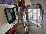 grande cage, Animaux & Accessoires, Oiseaux | Cages & Volières, Enlèvement, Utilisé