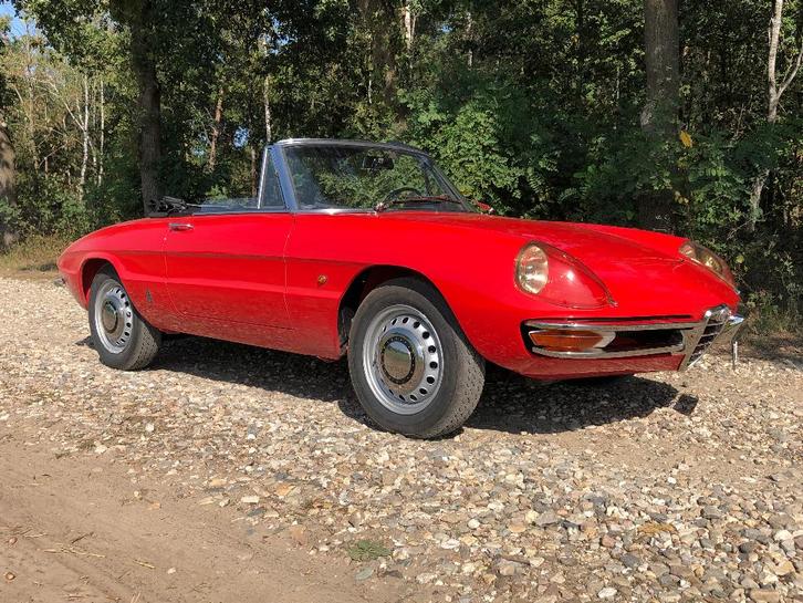 Alfa Romeo Spider 1600 Duetto 105 Série 1966 restaurée, Autos, Alfa Romeo, Particulier, Spider, Essence, Cabriolet, 2 portes, Boîte manuelle