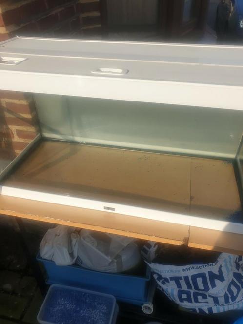 Te koop wegens verhuis !!, Dieren en Toebehoren, Vissen | Aquaria en Toebehoren, Gebruikt, Leeg aquarium, Ophalen