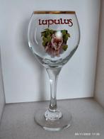 1 galopperend LUPULUS-bier., Verzamelen, Overige merken, Glas of Glazen, Zo goed als nieuw, Ophalen