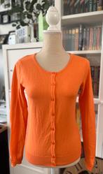 Gilet orange Bel&bo t.S, Taille 36 (S), Porté, Bel&bo, Orange