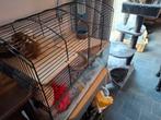 Superlieve goudhamster vrouwtje, Ophalen, Zo goed als nieuw, Kooi, Hamster