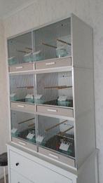 Gehukweekkooien, Enlèvement, Comme neuf, Synthétique, Cage d'élevage