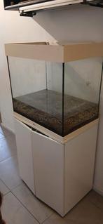 Aquarium + kast, Dieren en Toebehoren, Ophalen