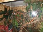 Terrarium ZGAN, Dieren en Toebehoren