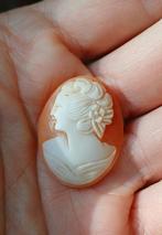 Schelp cameo, Ophalen