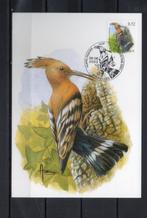 Année 2003 : Carte maximum 3200 - Oiseaux - Huppe  fasciée -, Timbres & Monnaies, Timbres | Europe | Belgique, Enlèvement ou Envoi