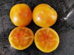 Tangerine  tomaat - 5 zaden, Voorjaar, Zaad, Verzenden