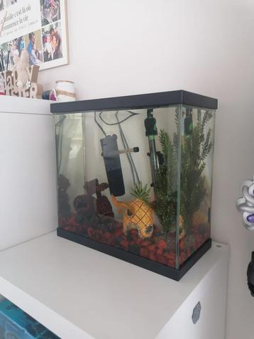 Aquarium beschikbaar voor biedingen