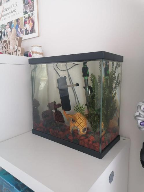 Aquarium, Dieren en Toebehoren, Vissen | Aquaria en Toebehoren, Zo goed als nieuw, Leeg aquarium, Ophalen