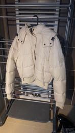 HOLLISTER ULTIMATE PUFFER BOMBER JACKET CREAM WHITE WOMEN, Kleding | Dames, Ophalen, Wit, Zo goed als nieuw, Maat 36 (S)