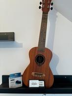 Nieuwe Ukelele, Musique & Instruments, Enlèvement