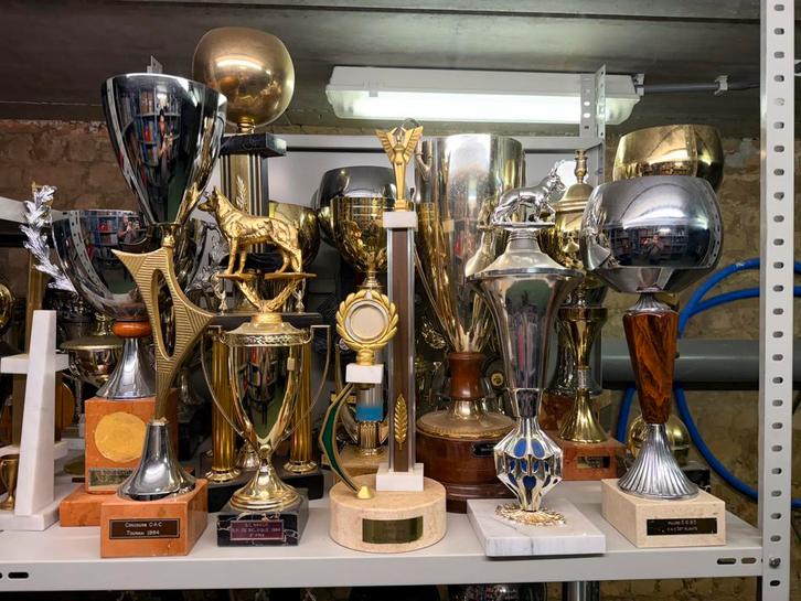 Vintage Honden Wedstrijd Medailles Trofeeën 1980’s, Collections, Collections complètes & Collections, Enlèvement ou Envoi