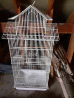 Heel hoge vogel kooi., Dieren en Toebehoren, Vogels | Hokken en Kooien, Ophalen, Zo goed als nieuw, Metaal, Vogelkooi