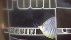 PUSH " COSMONAUTICA " ( BR 99145 ), Cd's en Dvd's, Vinyl | Dance en House, Verzenden, Zo goed als nieuw, 12 inch, Techno of Trance