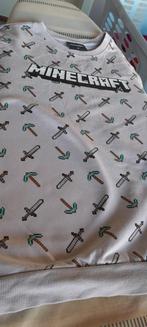 Trui minecraft maat 158, Enlèvement