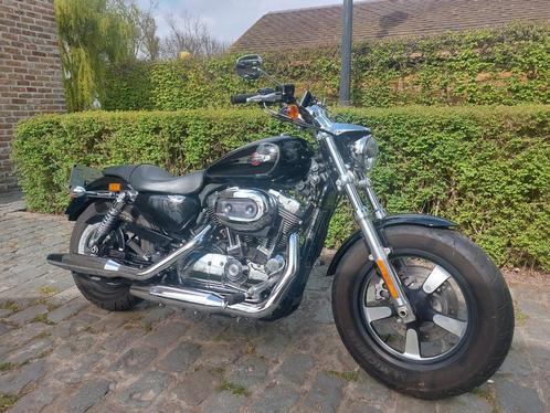 Harley Davidson Sportster 1200 Custom, Motoren, Motoren | Harley-Davidson, Particulier, Chopper, meer dan 35 kW, 2 cilinders, Ophalen