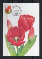 Année 2001 : Carte maximum 3047 - Tulipe rouge - Buzin - Obl, Ophalen of Verzenden