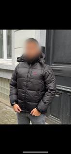 Jas Ralph Lauren, Ophalen of Verzenden, Nieuw, Overige maten, Zwart