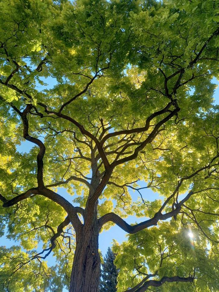 Entretien et Création d'espace vert, Diensten en Vakmensen, Tuinmannen en Stratenmakers