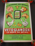 ancienne affiche vintage véto-glandox publicitaire, Comme neuf, Enlèvement ou Envoi, Panneau publicitaire