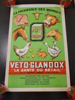 oude vintage veto-glandox reclameposter, Ophalen of Verzenden, Zo goed als nieuw, Reclamebord