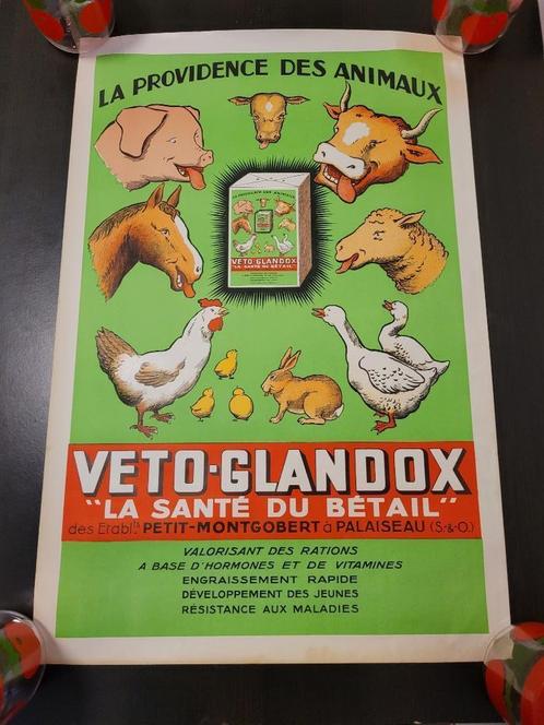 ancienne affiche vintage véto-glandox publicitaire, Collections, Marques & Objets publicitaires, Comme neuf, Panneau publicitaire