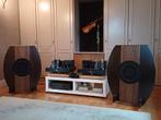 Decware Zen Master zelfbouw met Lii Fast 12 units, Audio, Tv en Foto, Luidsprekerboxen, Ophalen, Zo goed als nieuw